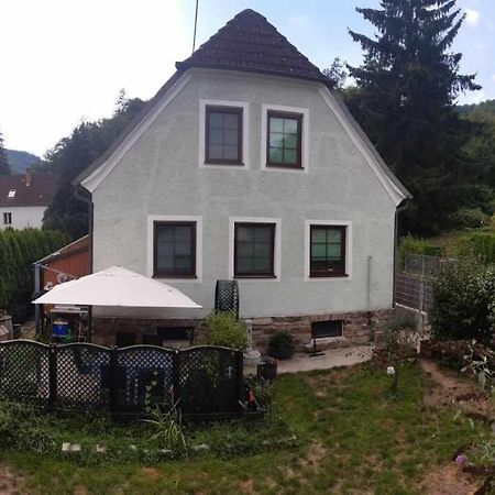 Апартаменти Zu Hause Am Bach Aggsbach Екстер'єр фото